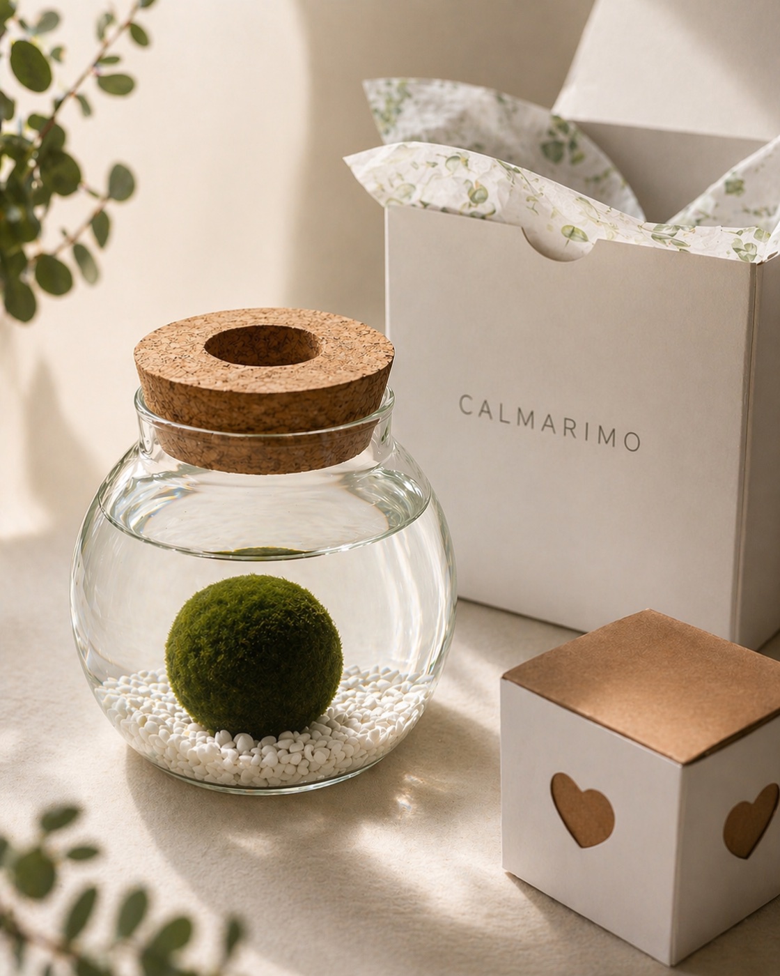 Calmarimo piece
